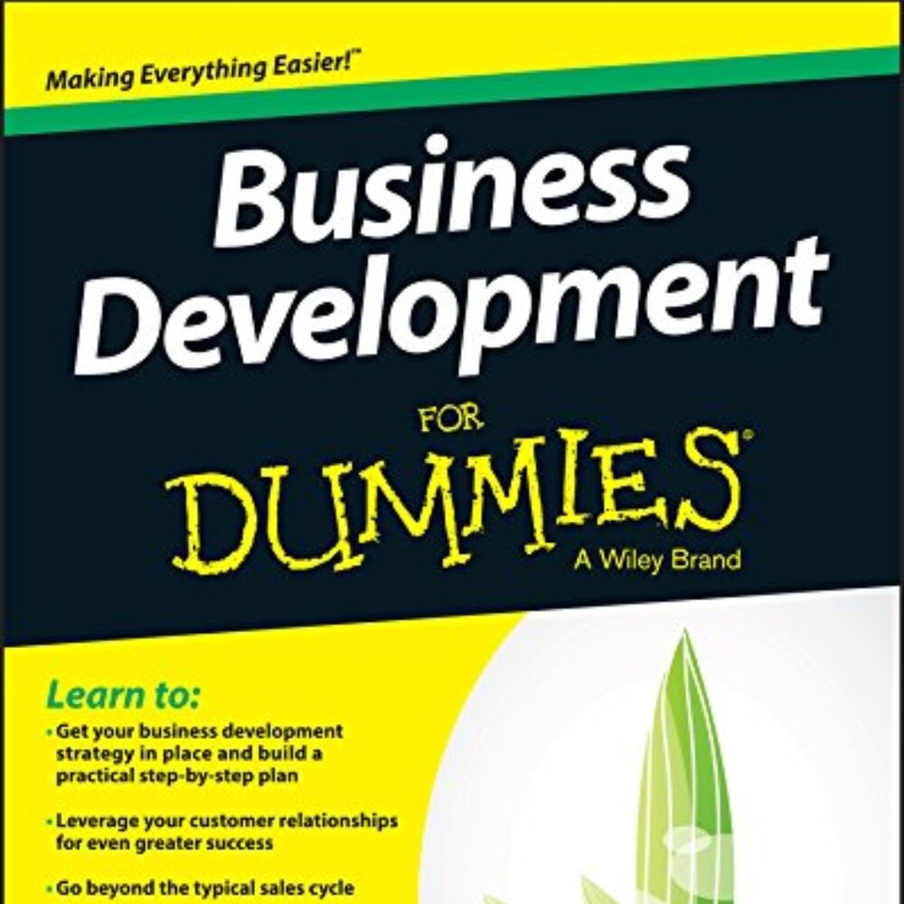 Business Development For Dummies - Anna Kennedy USED/Mint Condition
